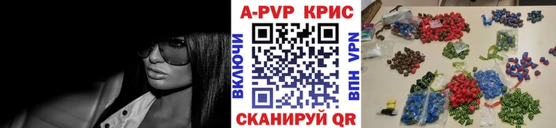 закладки  Циолковский  APVP VHQ 