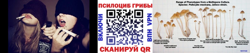 Галлюциногенные грибы MAGIC MUSHROOMS  Циолковский 